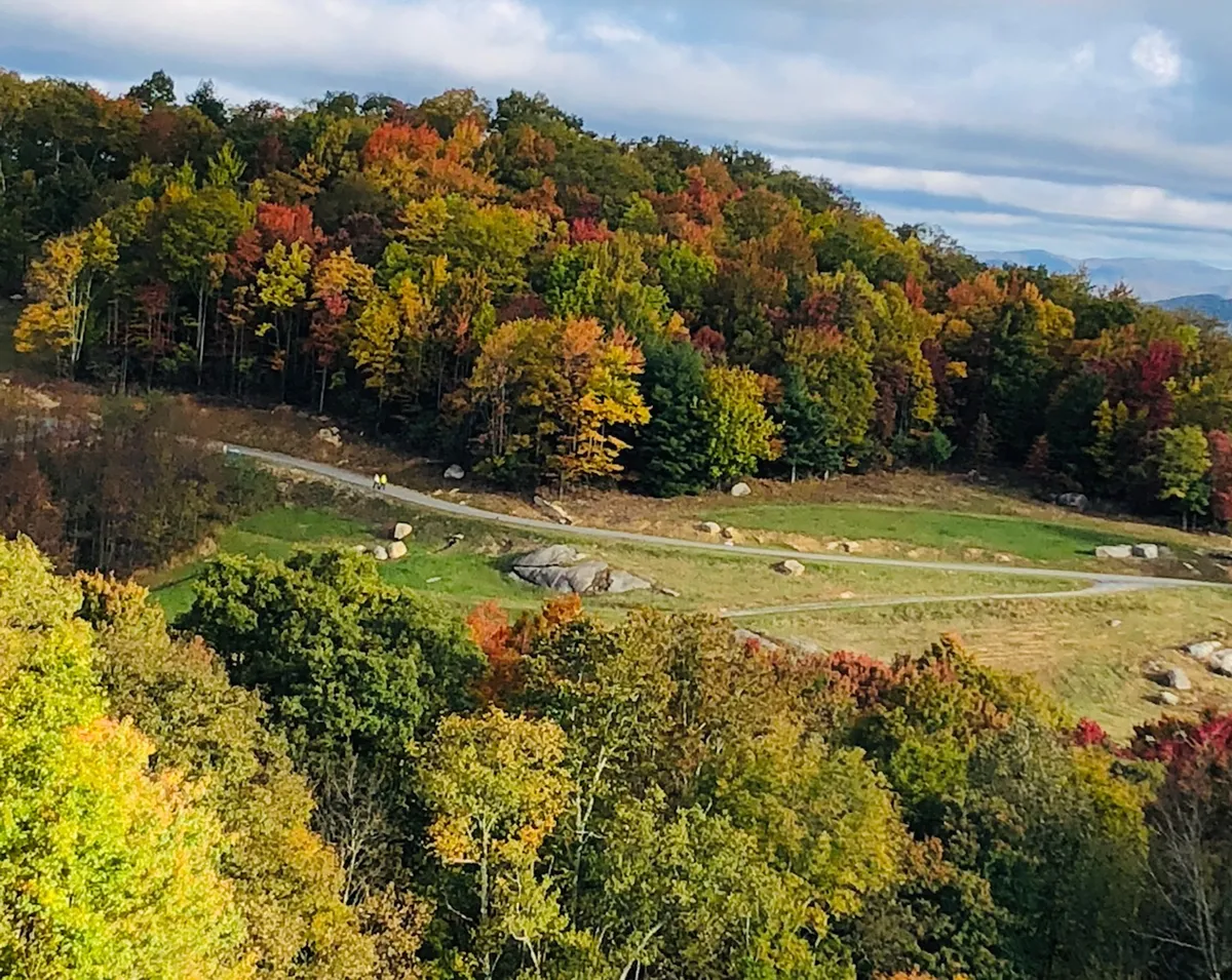 A sweeping view of a winding path cutting through colorful autumn foliage, with distant mountains offering a dramatic backdrop. The trail is surrounded by tall trees ablaze with fall colors, inviting visitors to embark on an outdoor adventure.